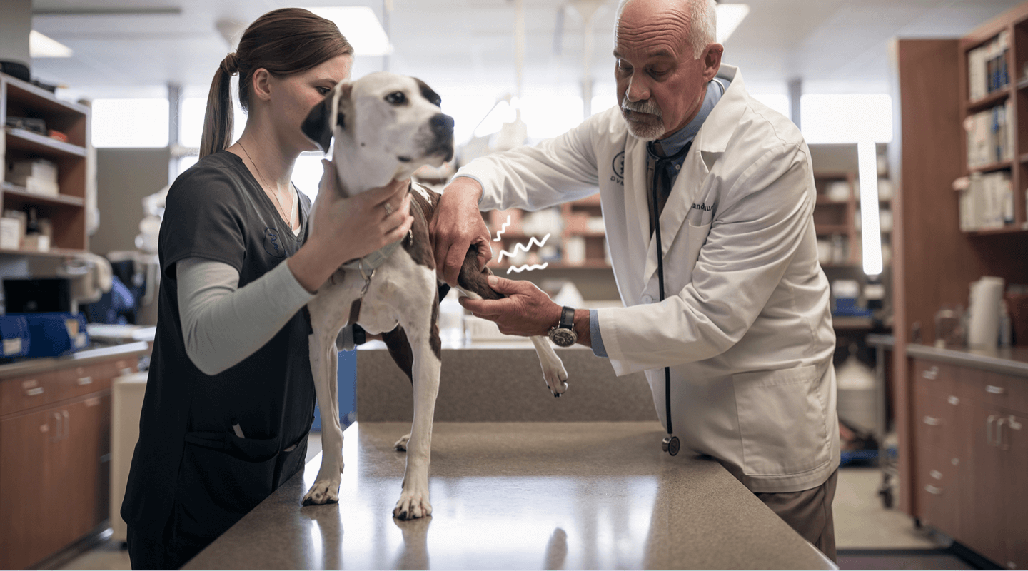 A man and woman petting a dog in a lab.