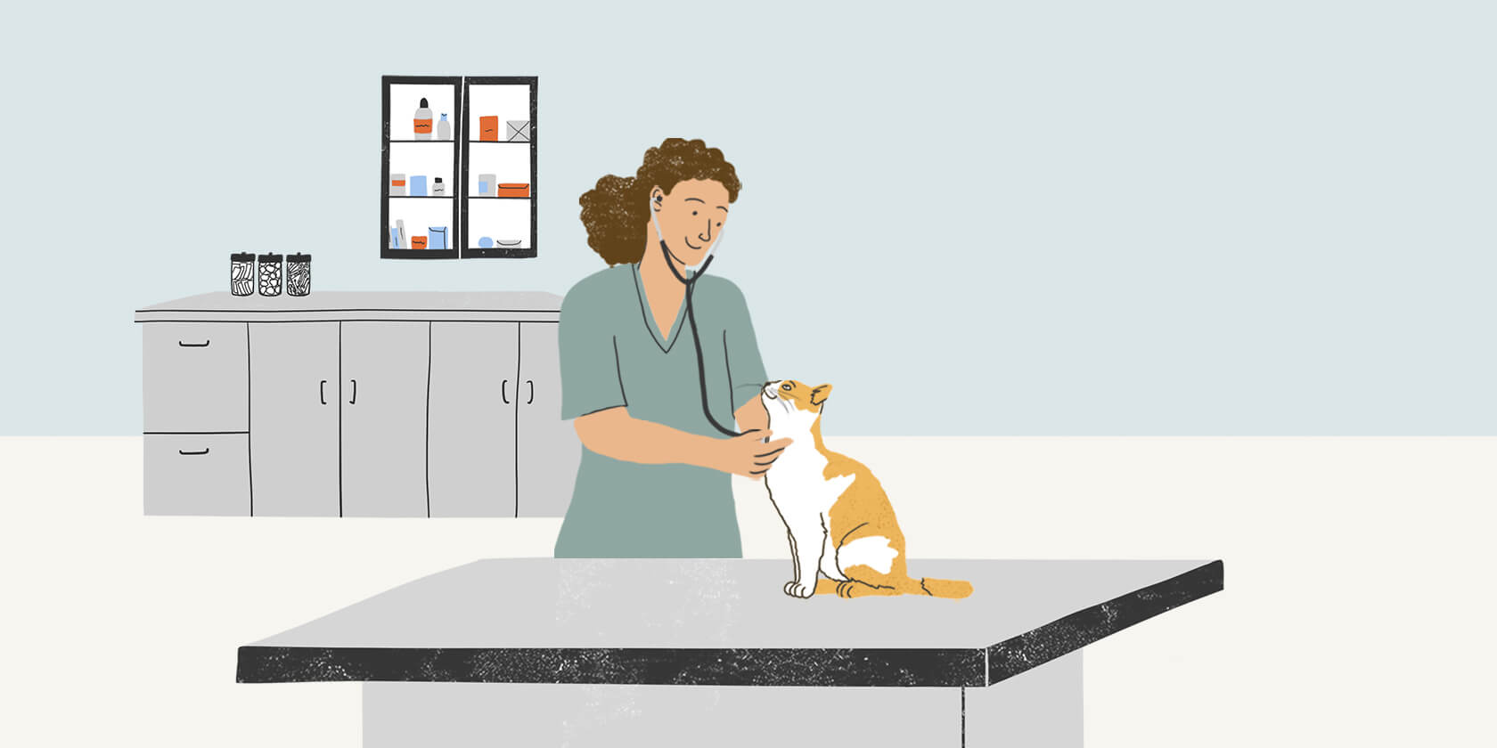 Veterinarian with cat on table 