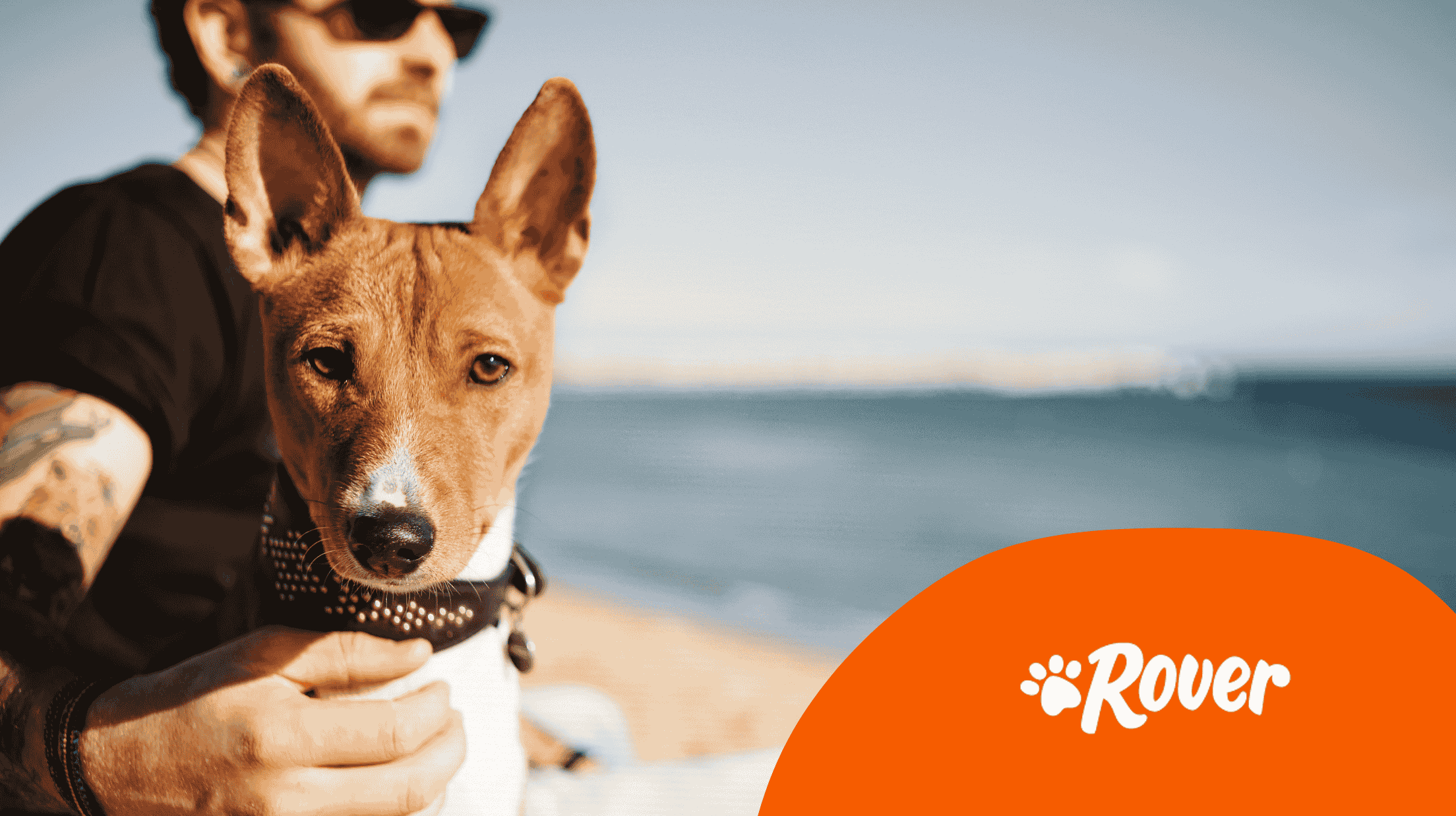 A man holding a dog on the beach.