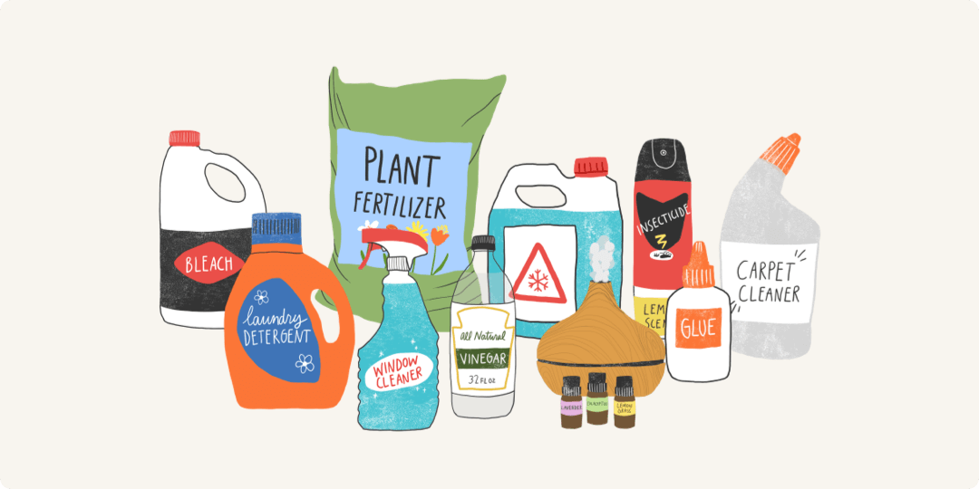 Illustration of different products