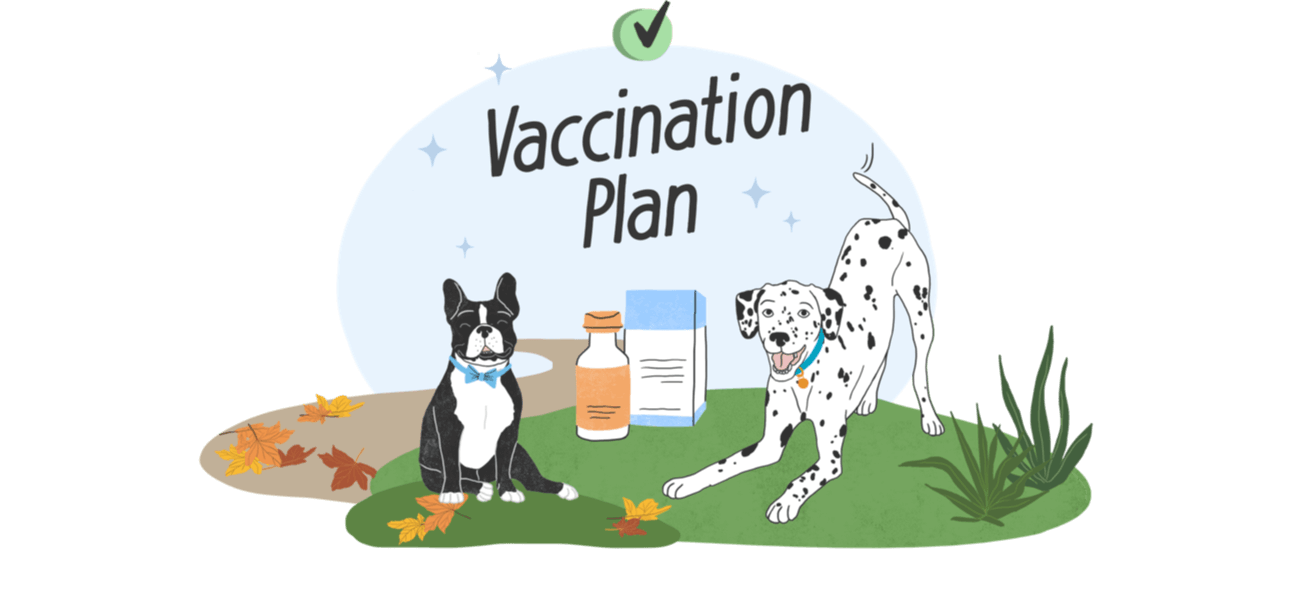Vaccine Quiz for Dogs
