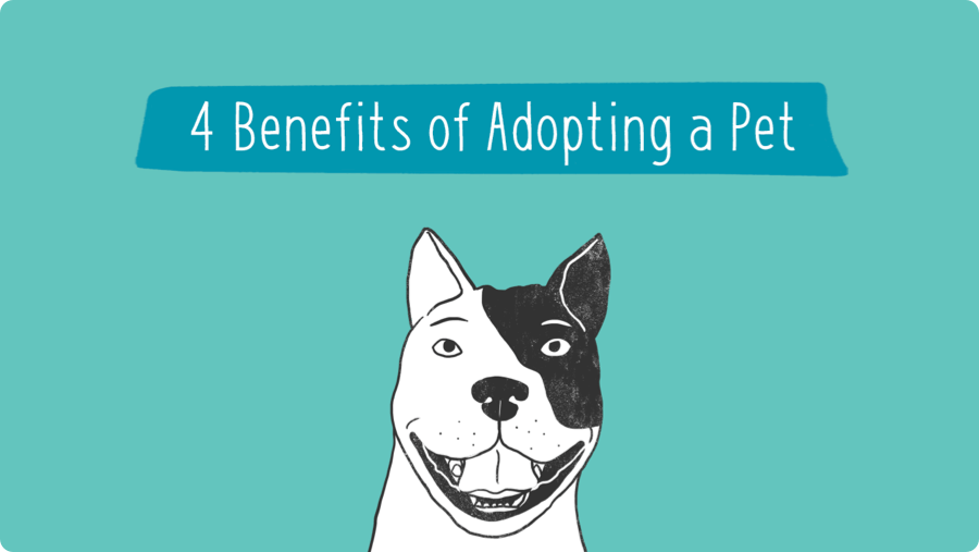 4 Benefits of Adopting a Pet