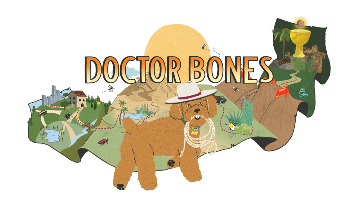 Illustrated dog wearing a hat standing in front of a map.