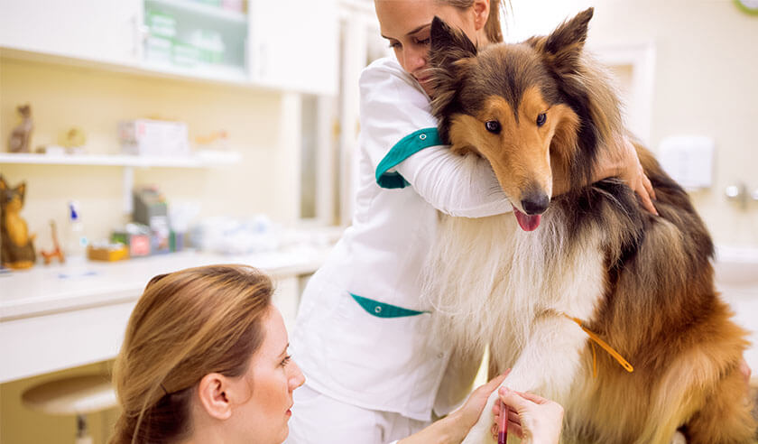 What to Know About Complete Blood Count (CBC) Tests