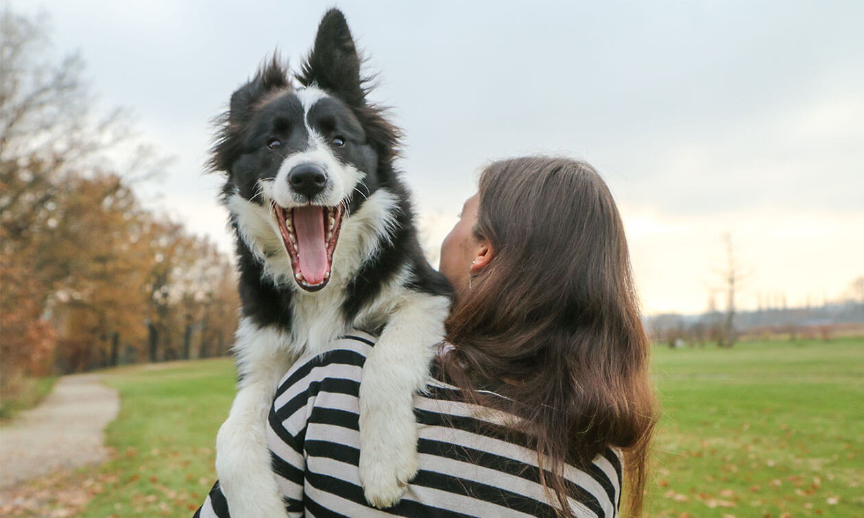 A woman holding a black and white dog in her arms.