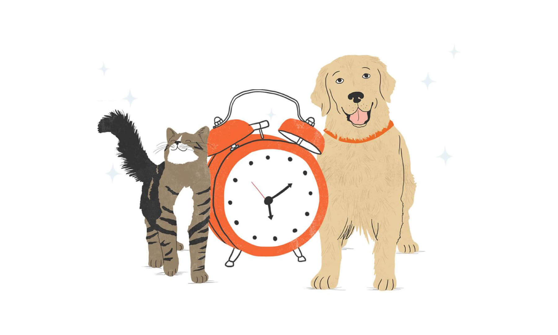 A dog and a cat standing next to an alarm clock.