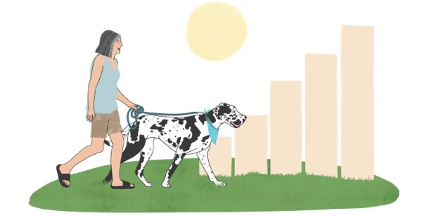 Older woman walking dog