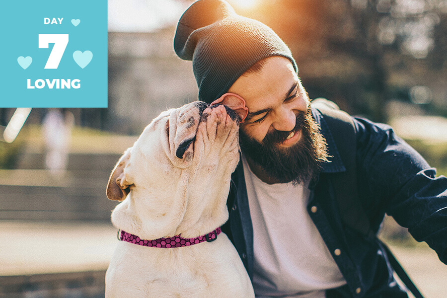 loving dog