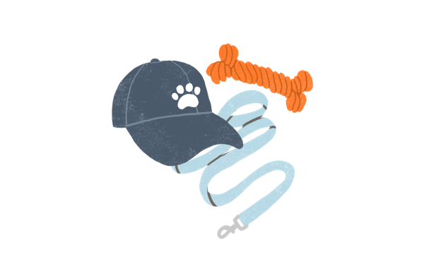 Illustration of a baseball cap, leash, and chew toy on a white background.
