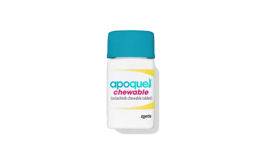 Apoquel Chewable bottle