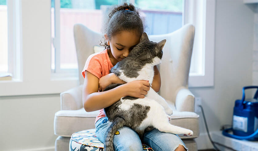 Purrfect Companions: Best Cat Breeds for Families and Children