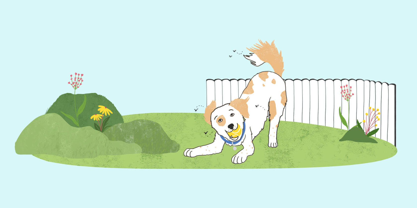 Illustrated dog playing outside.