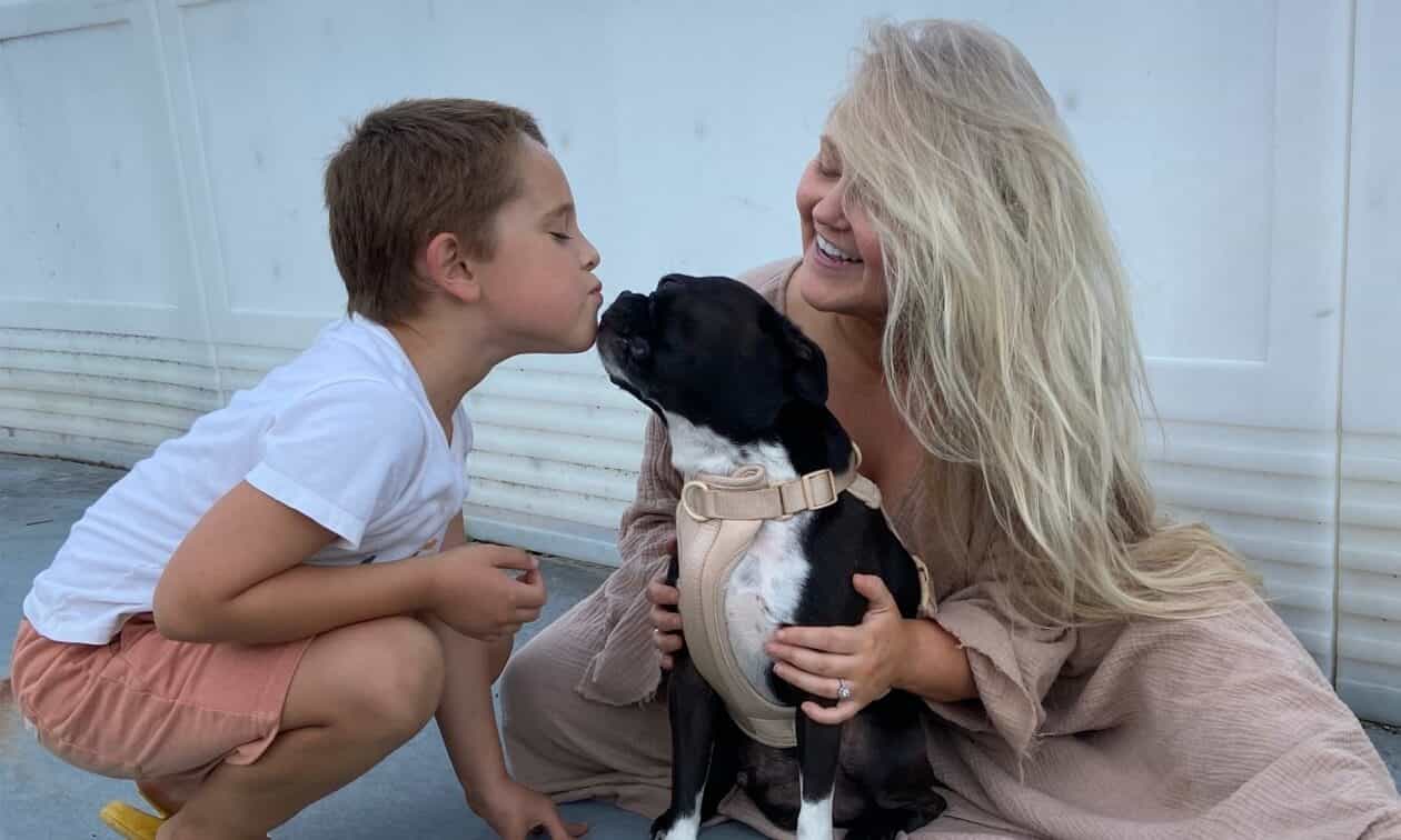Owner petting dog