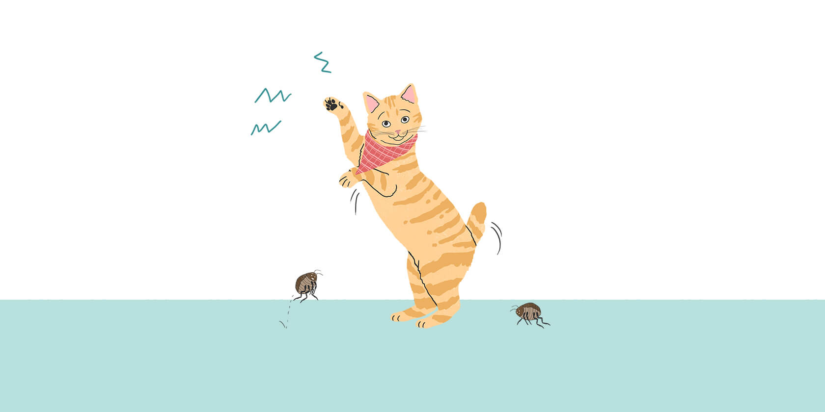 A cat battling fleas
