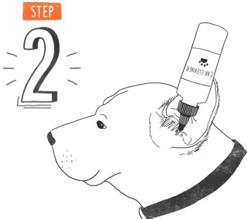 Illustration of a bottle of ear cleaning solution in a dog's ear.
