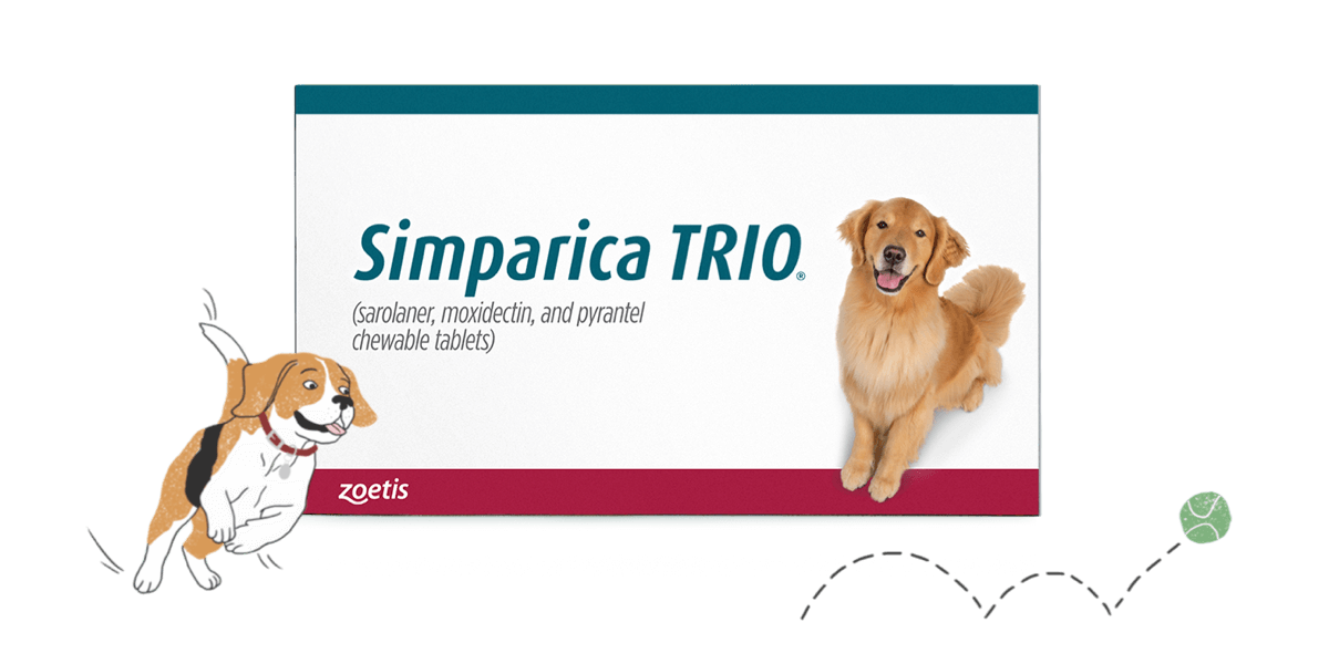 Zoetis Product Finder Zoetis Petcare Zoetis Product Finder Zoetis Petcare
