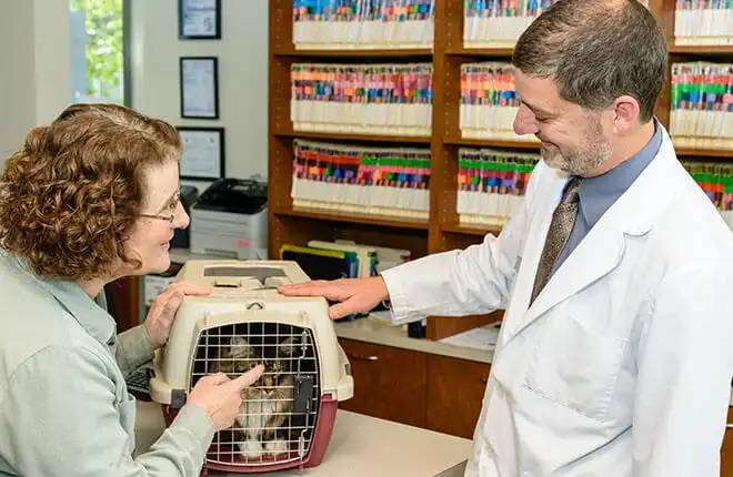 A man and a woman standing in front of a cat carrier.