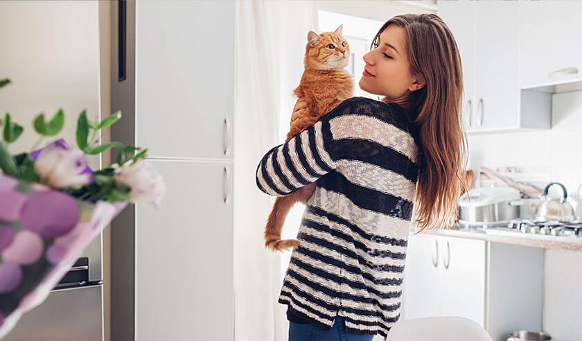 Bringing Your New Cat Home: What to Expect