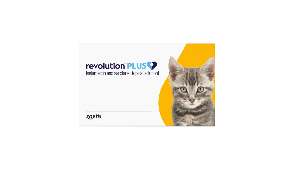 Revolution Plus