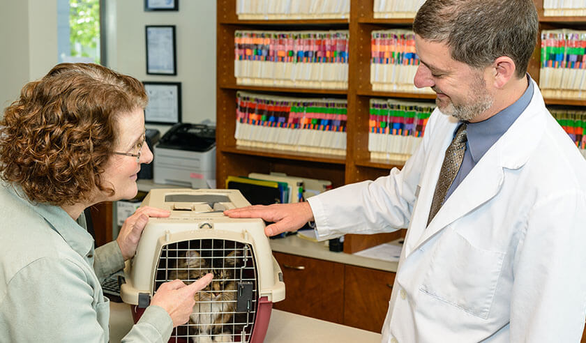 Things Your Veterinarian Wishes You Knew