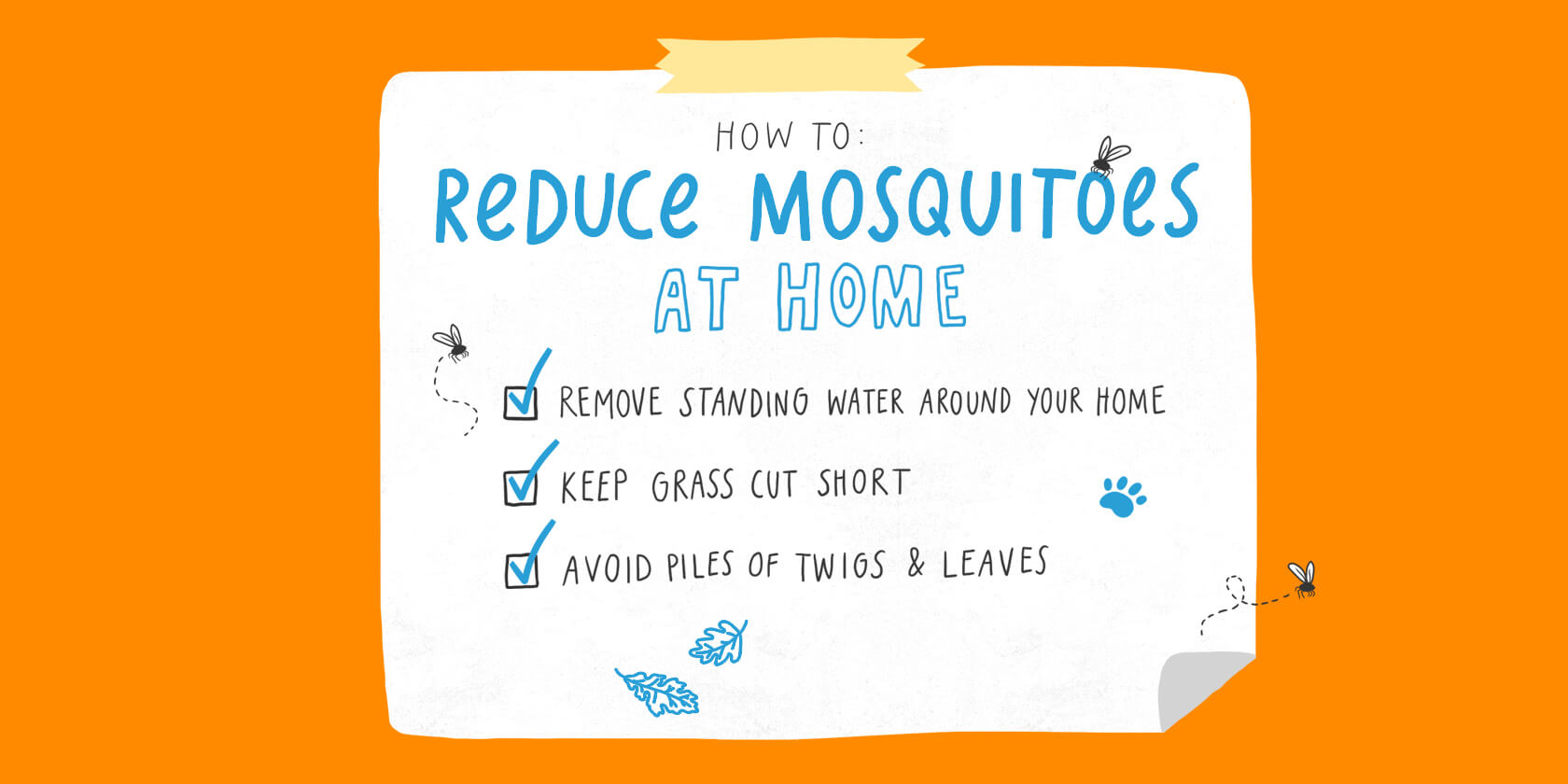 How to remove mosquitoes at home.