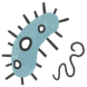 Bacteria icon.