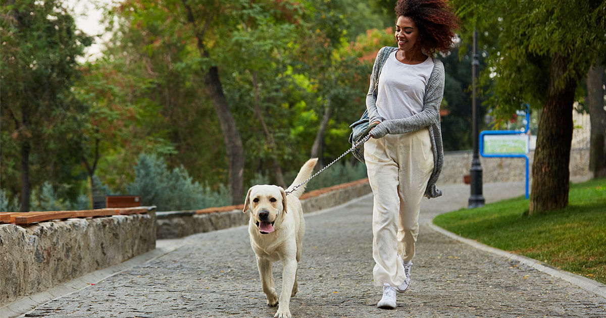 Walking strengthen legs hotsell
