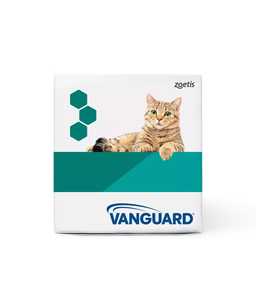 Vanguard for Cats