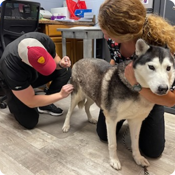 Ames Animal Shelter