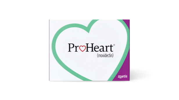 Annual Heartworm Disease Protection for Your Dog