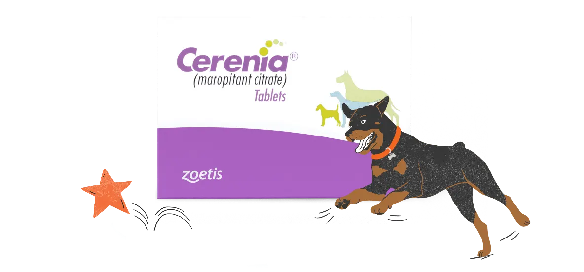 Earn up to $13 in Rewards With Your Cerenia Tablet&nbsp;Purchase
