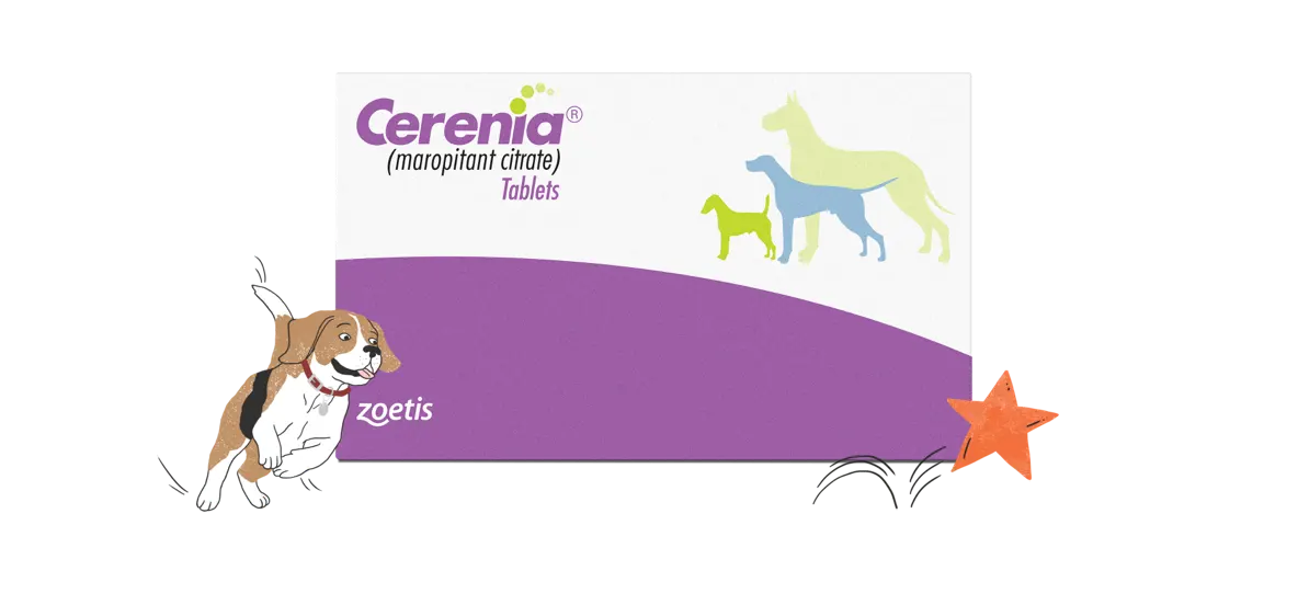 Earn up to $13 in Rewards With Your Cerenia Tablet&nbsp;Purchase