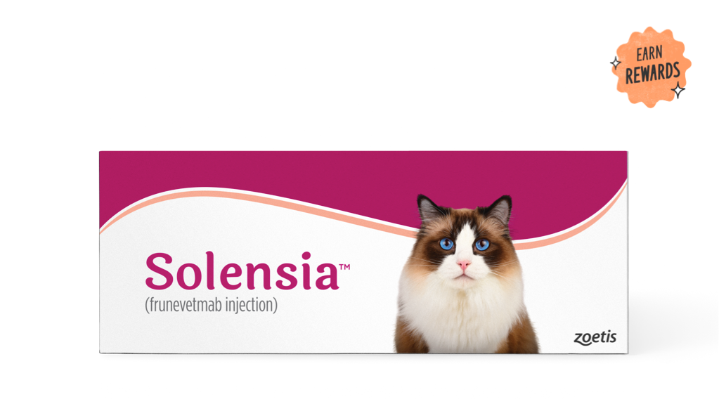 Control OA Pain to Get Your Cat Back to Their “Normal”