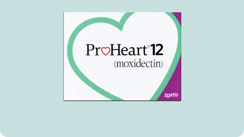 One Shot Provides One Year of Constant Protection From Heartworm Disease