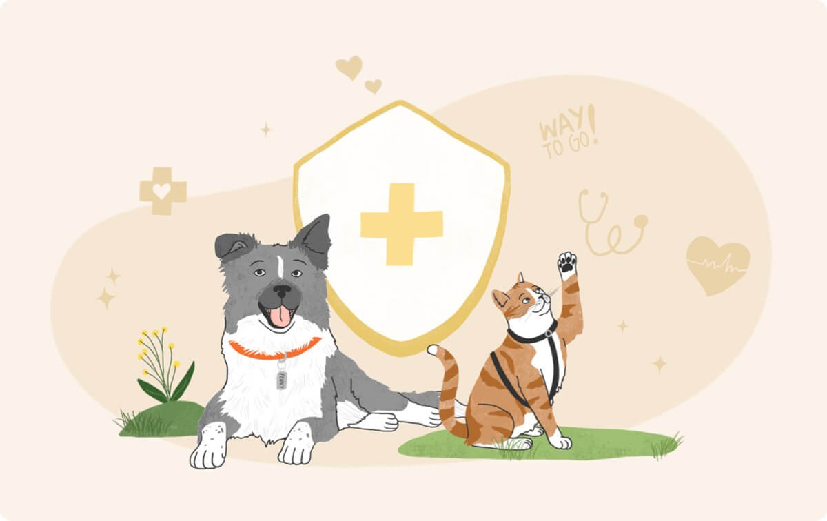 Illustration of dog and cat playing