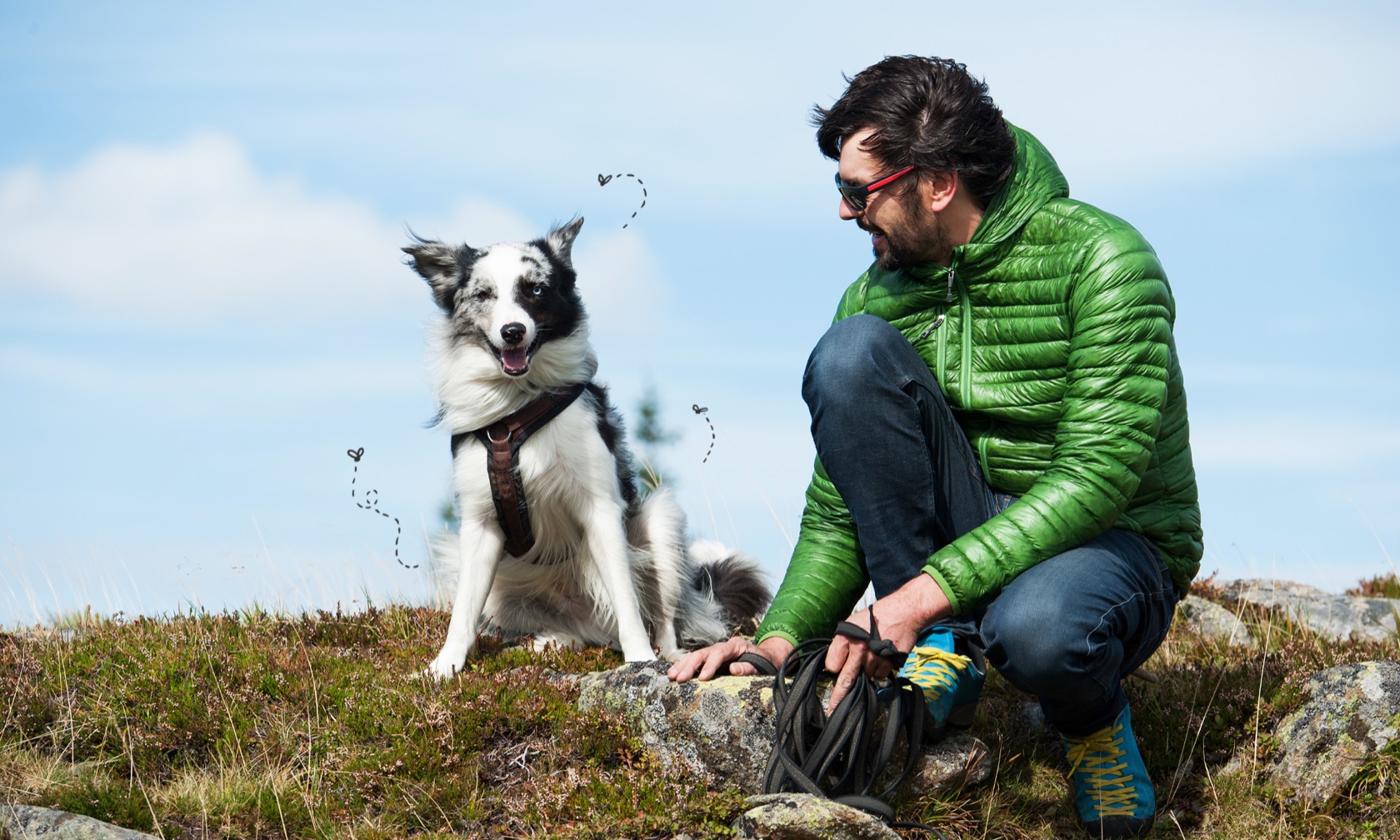 How to Prevent Ticks on Dogs While Hiking  