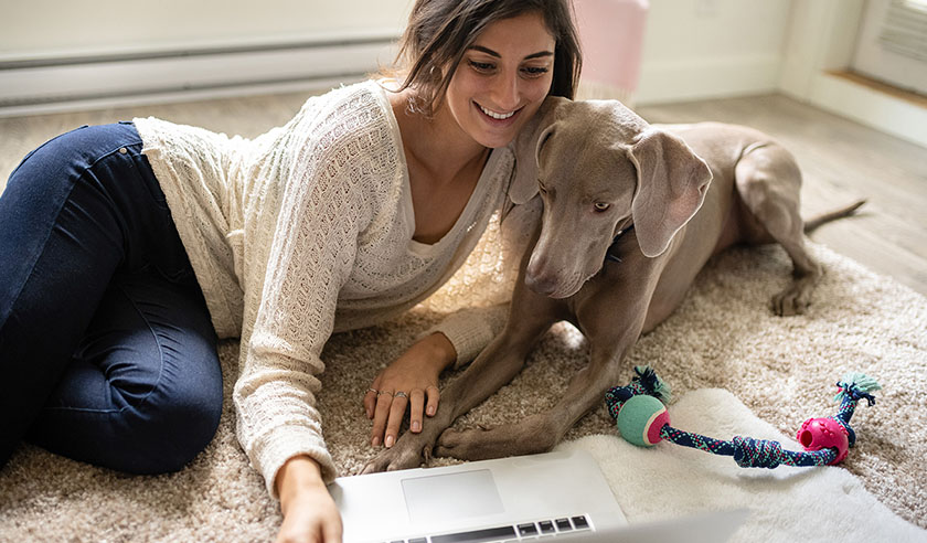 Helping Your Pet Adjust as You Return to Work