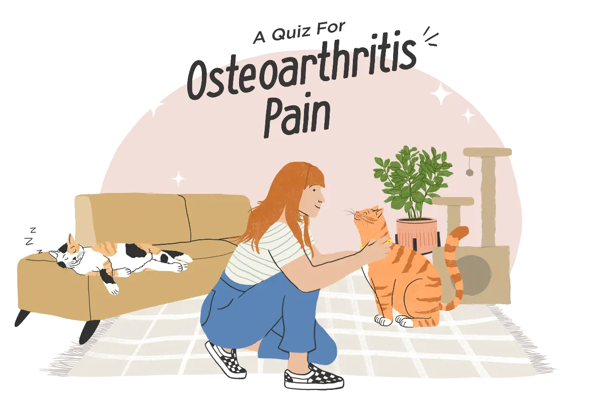 an illustration of a woman kneeling on the floor and petting her cat