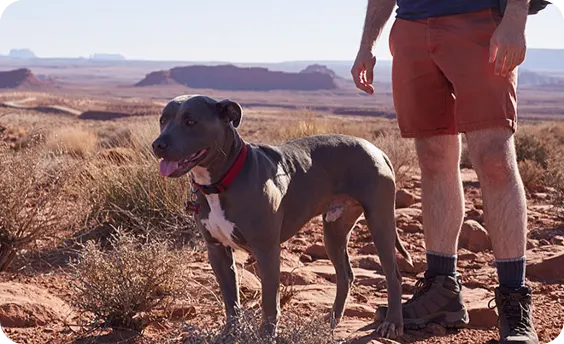 Man hiking with his dog.