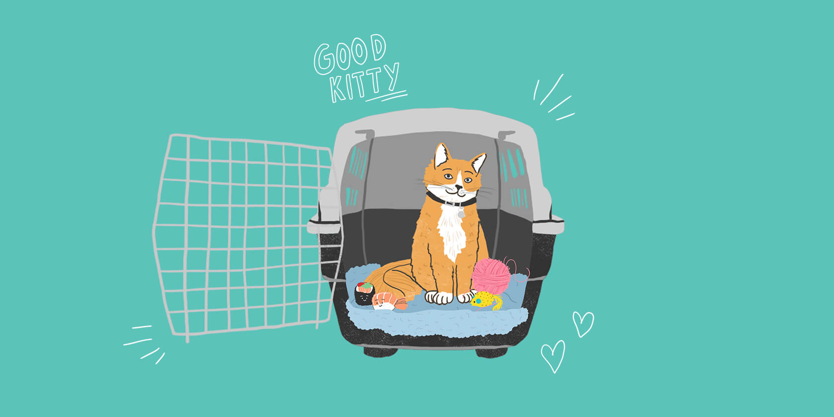 Cat in the cat carrier