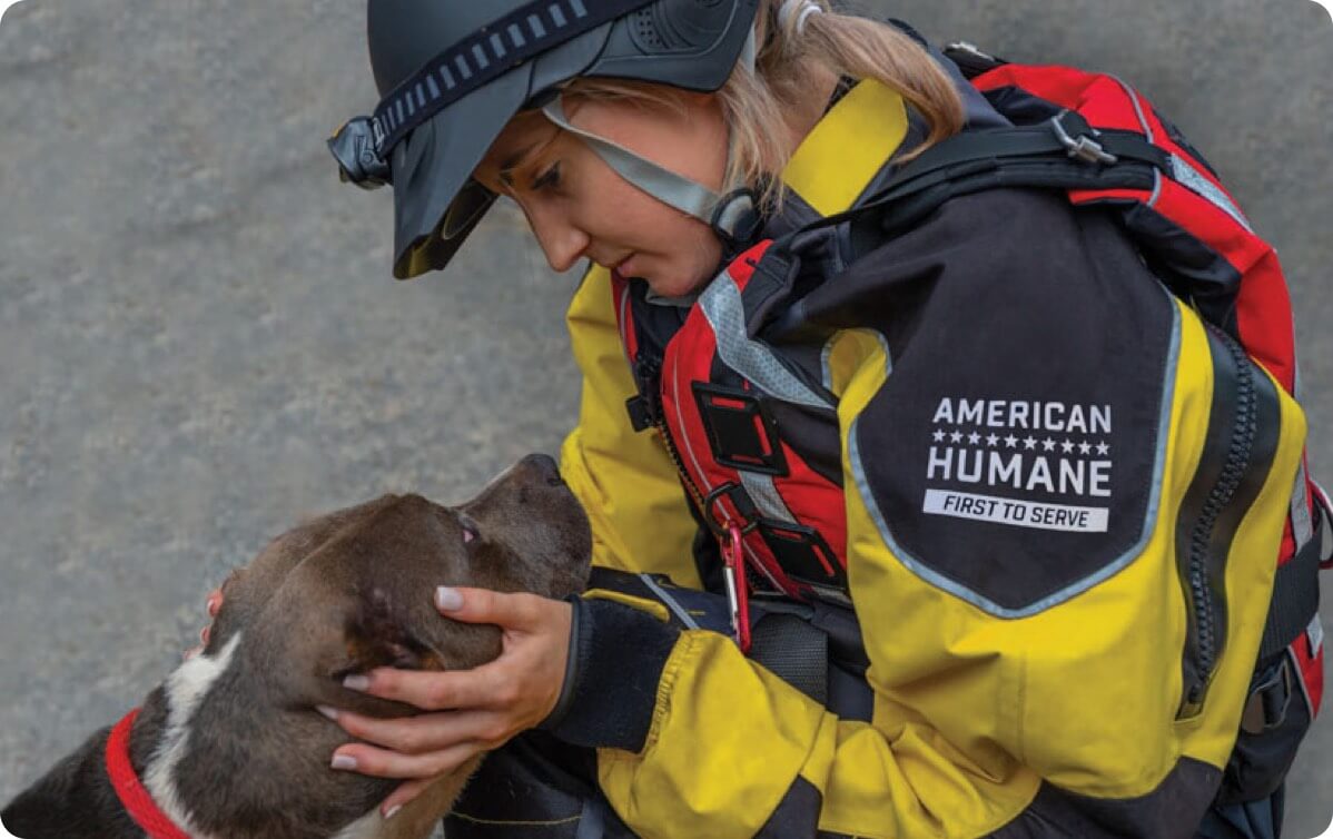 our-friends-on-the-front-lines-zoetis-petcare