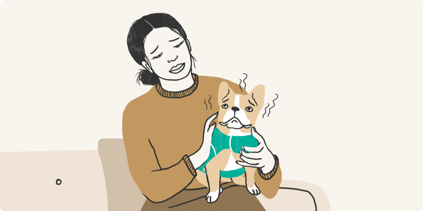 Illustrated woman with her scared dog
