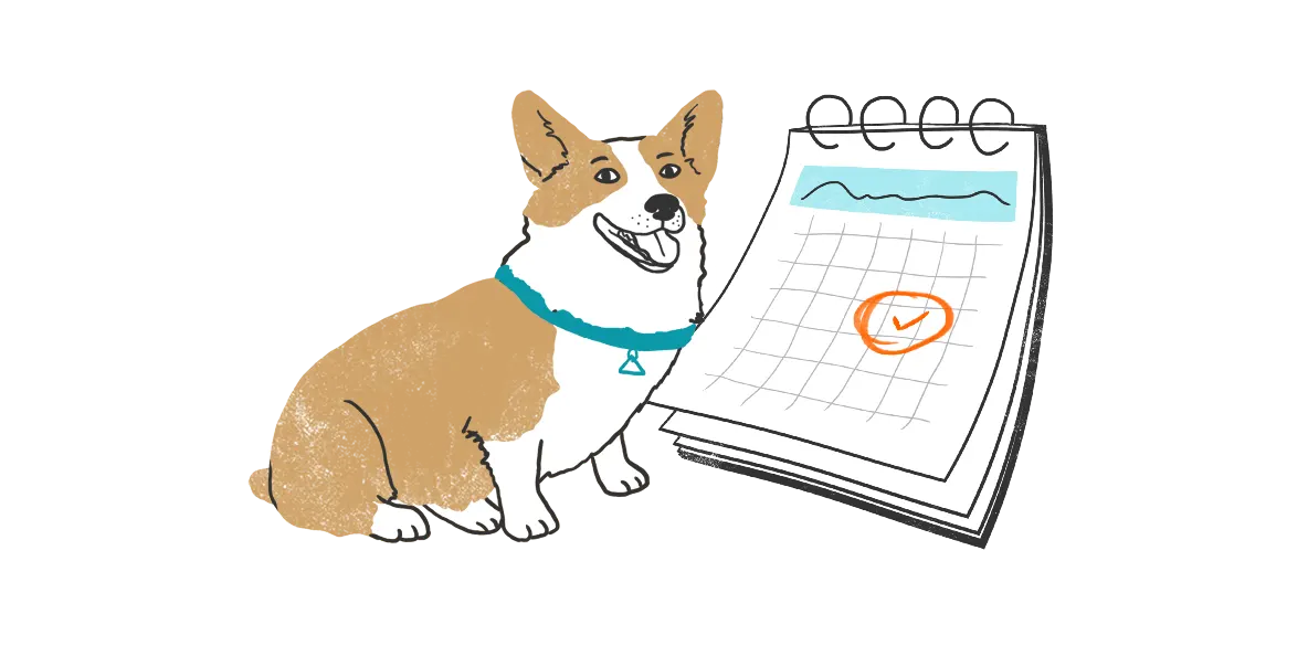 Keep Up Your Dog’s Heartworm Disease Prevention With Worry-Free Reminders