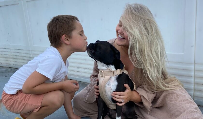 First Time Dog Owner Questions, Answered