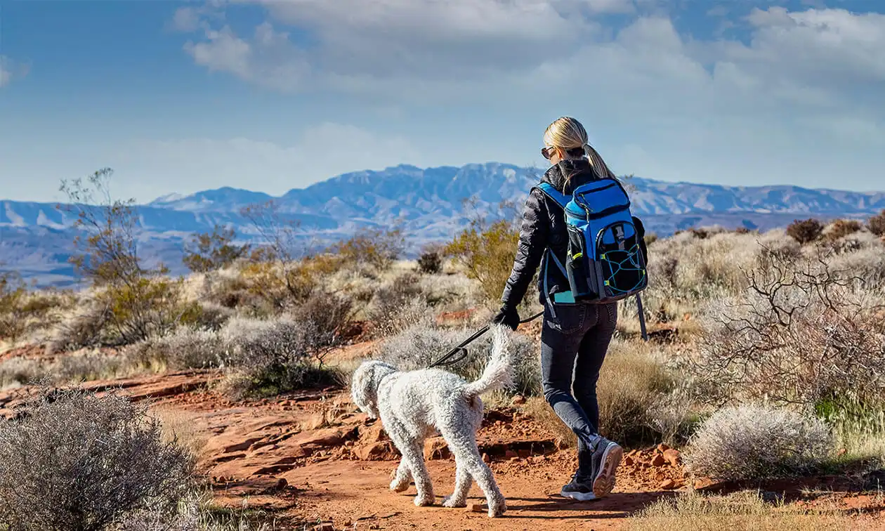 A woman with a backpack walking a dog on a trail.