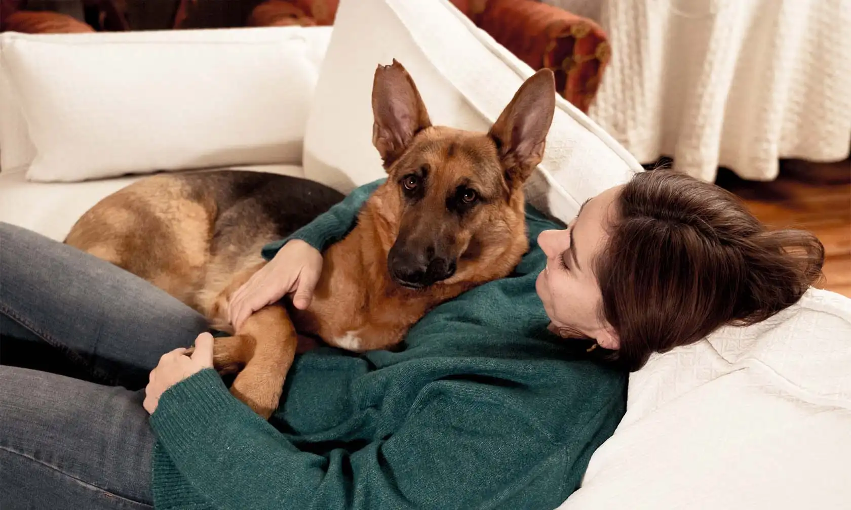 Bringing your new dog home