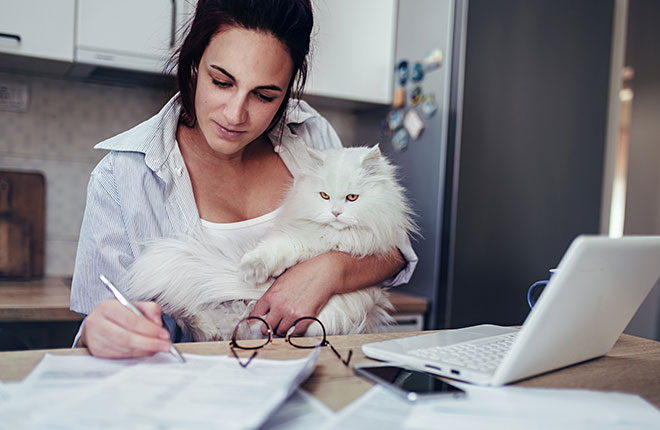 A woman sitting at a table with a cat and a laptop.