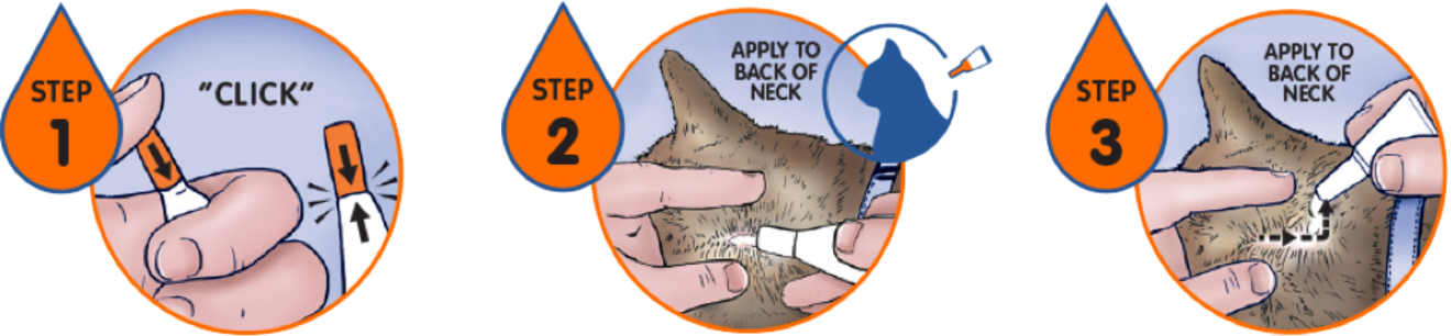 Illustrated steps for applying Revolution Plus.