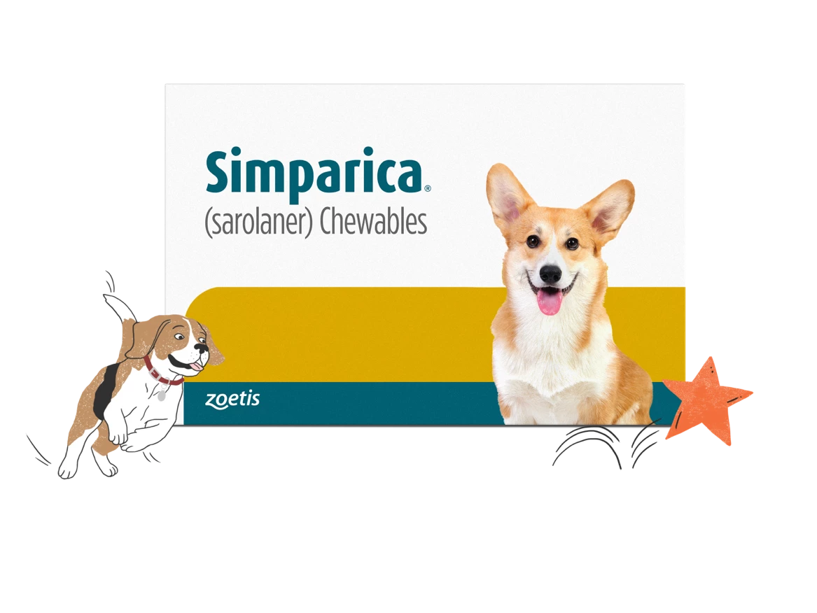 Protect Your Dog All Month Long From Ticks and Fleas, and Earn up to $35 in Rewards