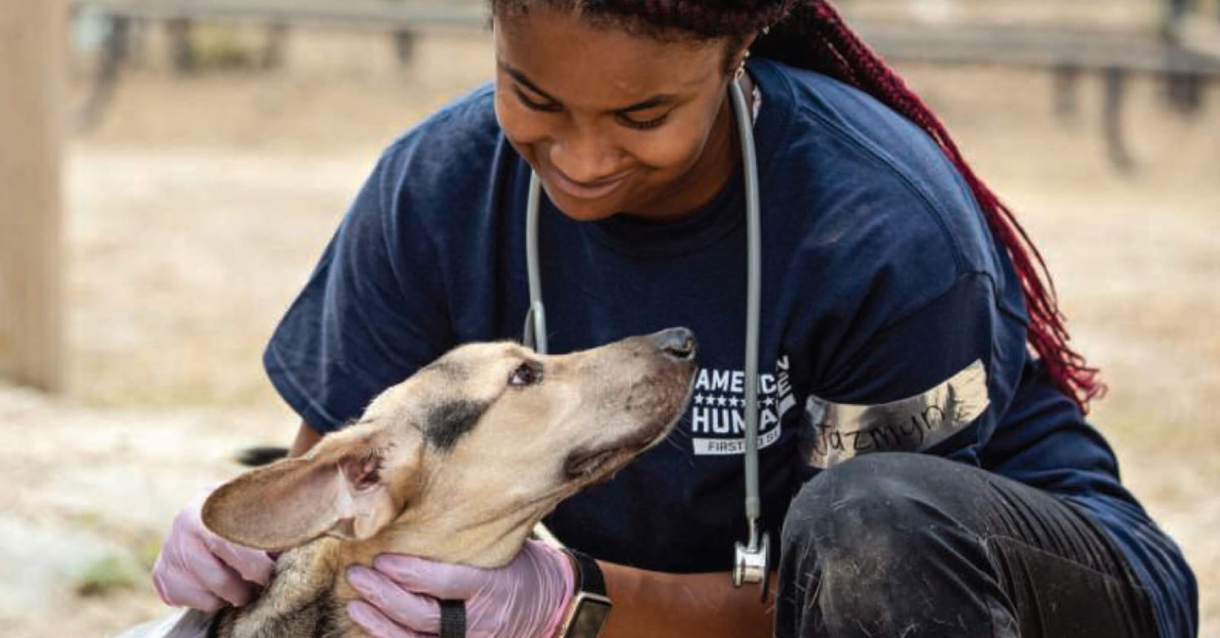 American humane sale society near me